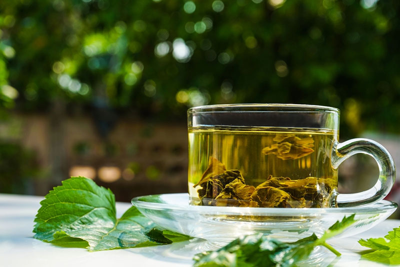 Người Việt có loại lá chống rụng tóc, kích thích mọc tóc con cực "nhạy", biết tận dụng còn trị được nhiều bệnh vặt- Ảnh 5. Người Việt có loại lá chống rụng tóc, kích thích mọc tóc con cực "nhạy", biết tận dụng còn trị được nhiều bệnh vặt- Ảnh 5.