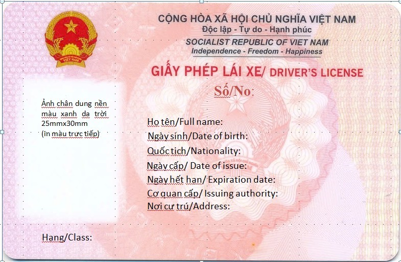 Từ ngày 1/3, mẫu bằng lái xe mới chính thức có hiệu lực- Ảnh 1.
