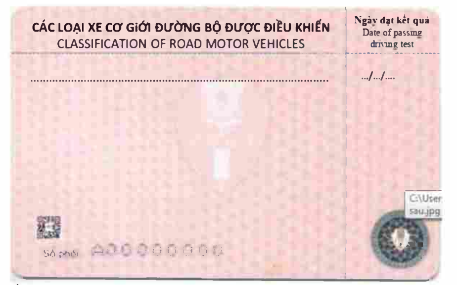 Từ ngày 1/3, mẫu bằng lái xe mới chính thức có hiệu lực- Ảnh 2.