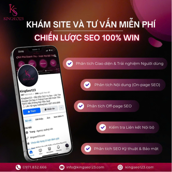Kingseo 123 tiên phong xu hướng dịch vụ SEO tổng thể phát triển mạnh mẽ- Ảnh 2.