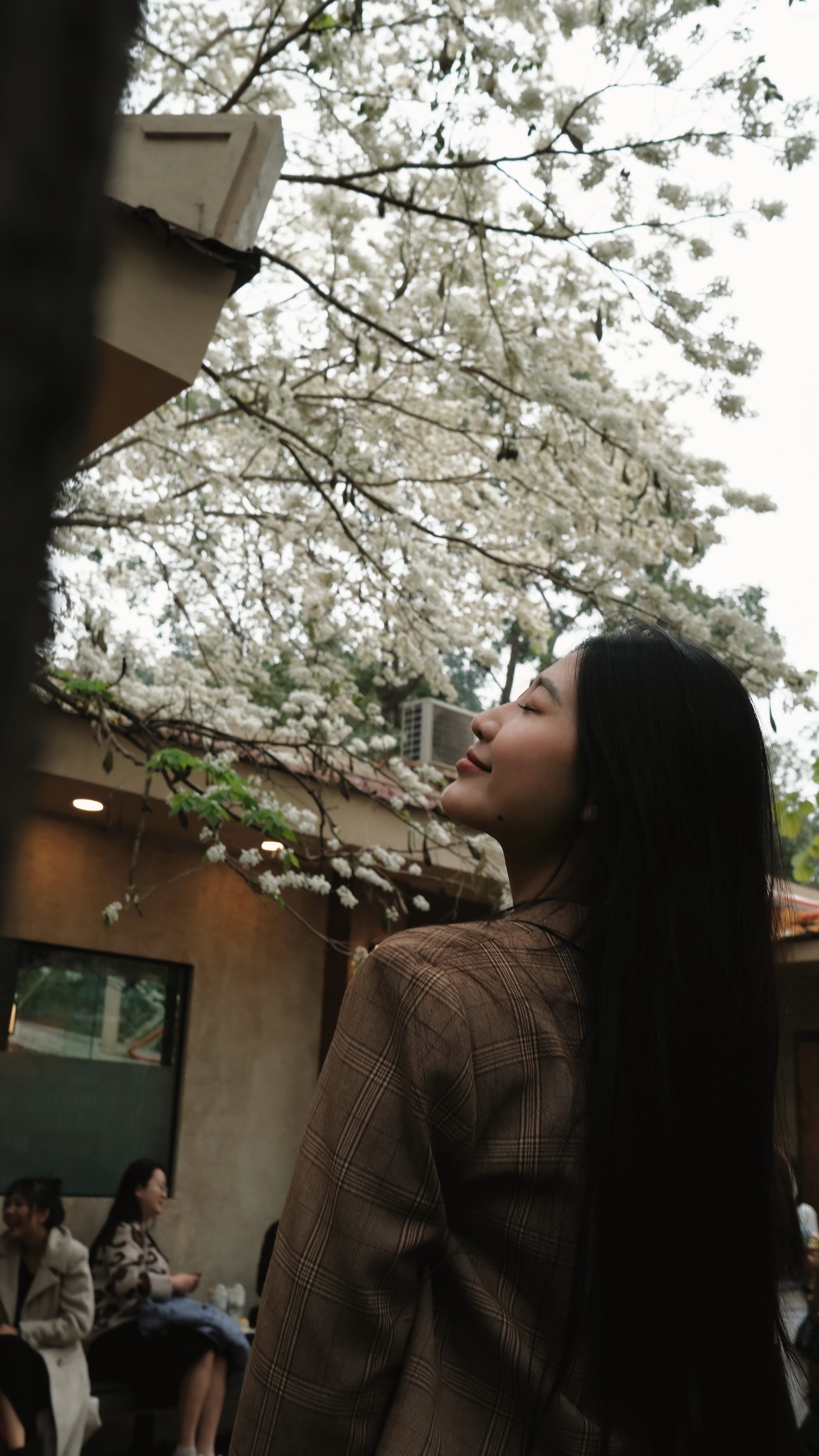 Cận cảnh cây hoa sưa hot nhất Hà Nội khiến người người xếp hàng dài, chen chân từng mét để có bức ảnh “sống ảo”- Ảnh 24. Cận cảnh cây hoa sưa hot nhất Hà Nội khiến người người xếp hàng dài, chen chân từng mét để có bức ảnh “sống ảo”- Ảnh 24.