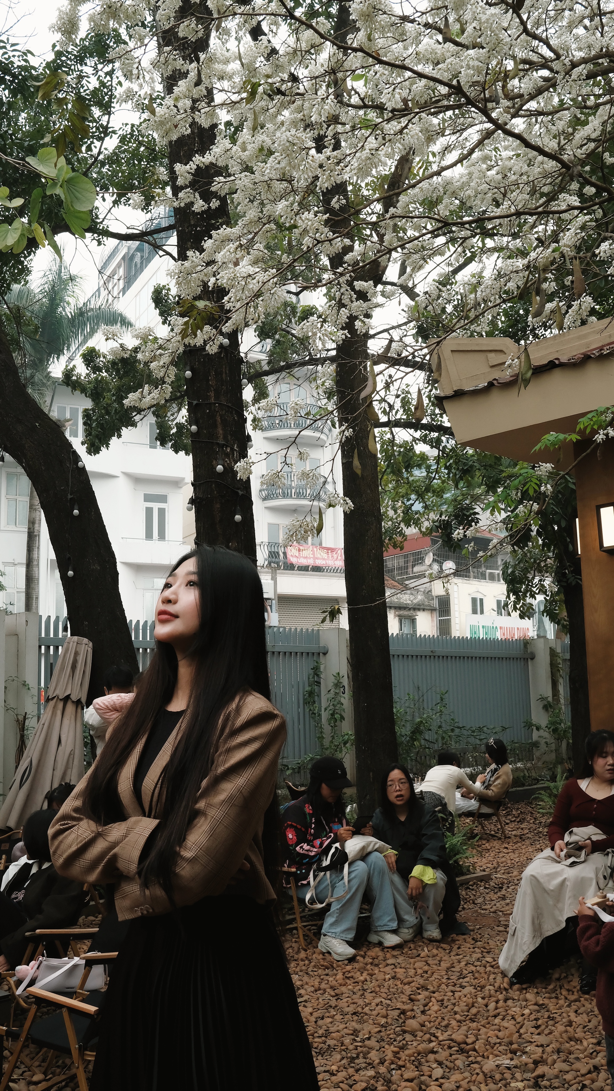 Cận cảnh cây hoa sưa hot nhất Hà Nội khiến người người xếp hàng dài, chen chân từng mét để có bức ảnh “sống ảo”- Ảnh 14. Cận cảnh cây hoa sưa hot nhất Hà Nội khiến người người xếp hàng dài, chen chân từng mét để có bức ảnh “sống ảo”- Ảnh 14.