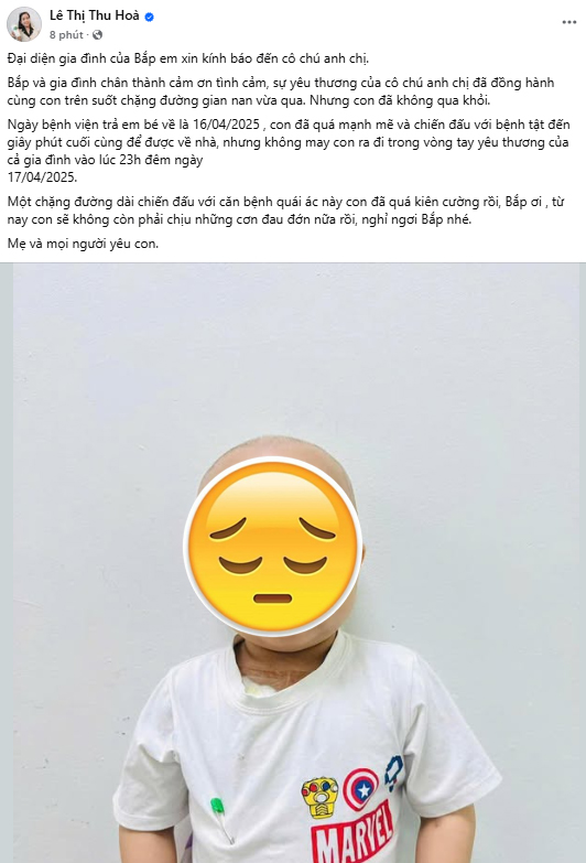 Bé Bắp qua đời sau thời gian chữa bệnh ở Singapore- Ảnh 1.