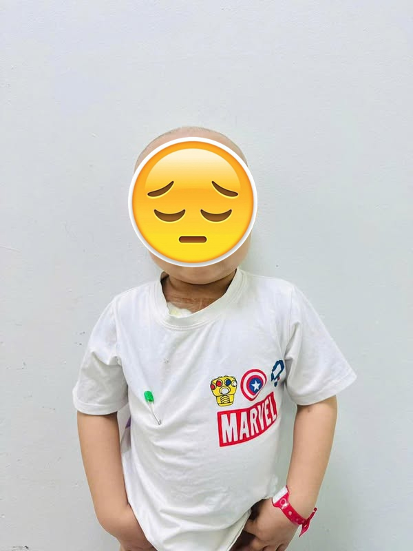 Bé Bắp qua đời sau thời gian chữa bệnh ở Singapore- Ảnh 2.