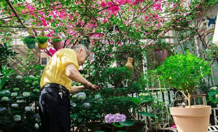 Tôi thiết kế một khu vườn tặng bố mẹ sau khi họ nghỉ hưu – và nhận về nhiều hơn mình nghĩ!- Ảnh 2.