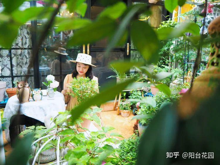 Tôi thiết kế một khu vườn tặng bố mẹ sau khi họ nghỉ hưu – và nhận về nhiều hơn mình nghĩ!- Ảnh 7.
