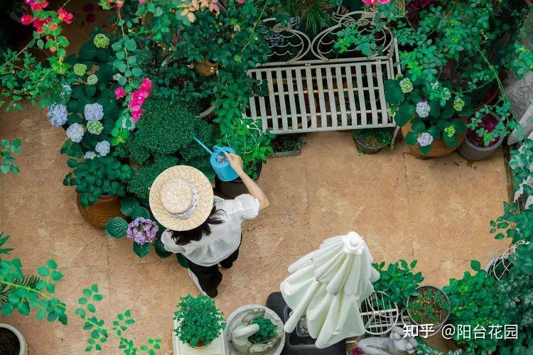 Tôi thiết kế một khu vườn tặng bố mẹ sau khi họ nghỉ hưu – và nhận về nhiều hơn mình nghĩ!- Ảnh 8.