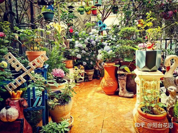 Tôi thiết kế một khu vườn tặng bố mẹ sau khi họ nghỉ hưu – và nhận về nhiều hơn mình nghĩ!- Ảnh 6.