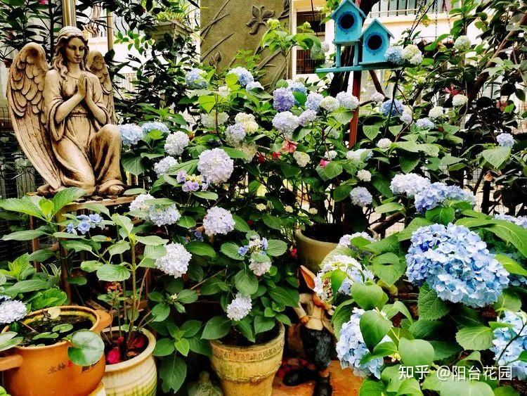 Tôi thiết kế một khu vườn tặng bố mẹ sau khi họ nghỉ hưu – và nhận về nhiều hơn mình nghĩ!- Ảnh 5.