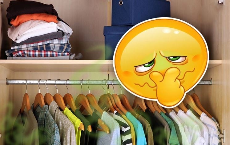 Tôi không mua viên khử mùi nữa: Chỉ với 5.000 đồng và cách làm cực dễ, tủ đồ nhà tôi thơm mát suốt tháng- Ảnh 1.