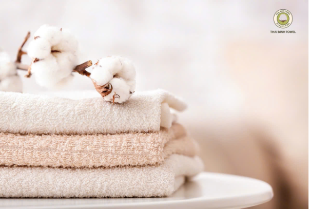 CEO Thái Bình Towel: "Mong muốn chiếm 20-30% thị phần trên thị trường khăn bông Việt Nam"- Ảnh 2.