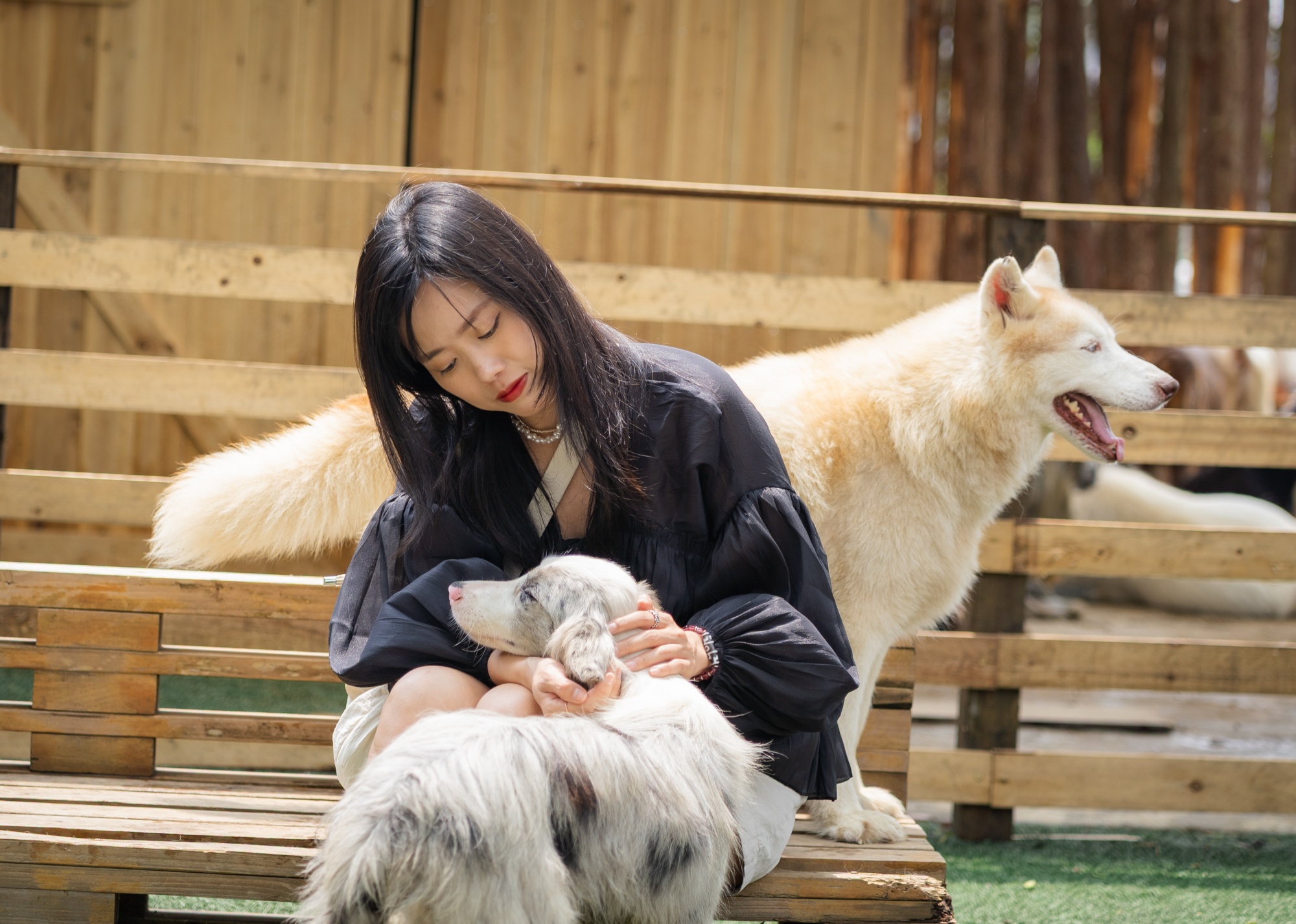 Trải nghiệm Sa Pa dịp nghỉ lễ theo cách khác: Khi bạn dành một buổi chơi cùng thú cưng ở nông trại giữa núi rừng- Ảnh 28.