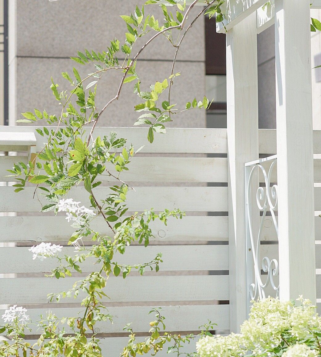 Ngỡ như lạc vào xứ sở thần tiên với khu vườn sân thượng 20m², nơi mọi góc nhỏ đều đầy sắc màu và sự sống- Ảnh 8.