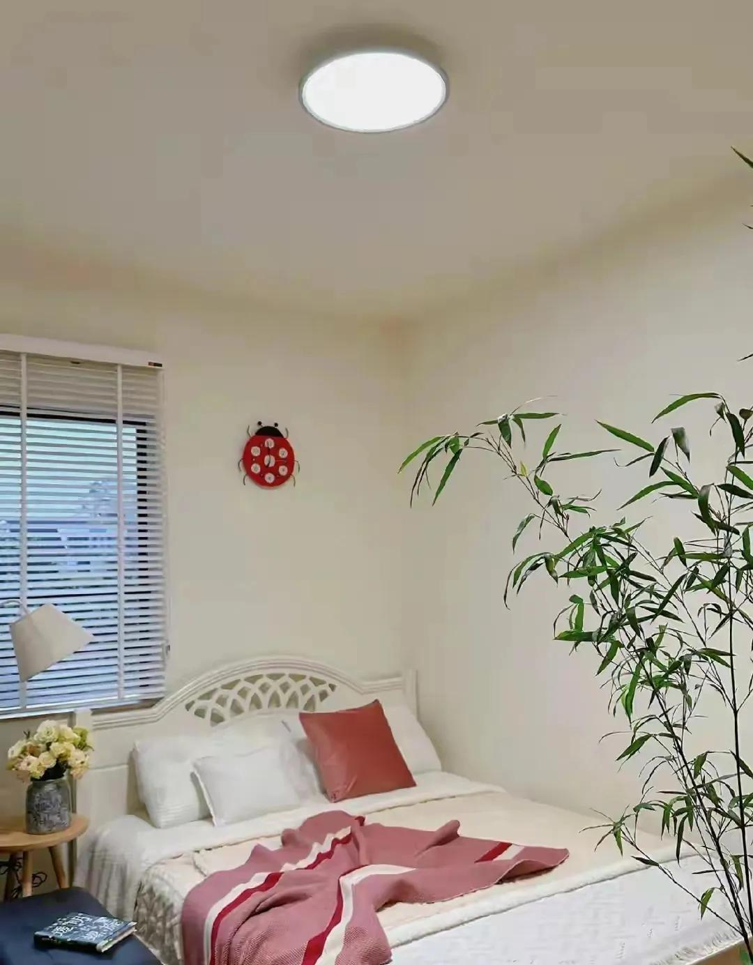 Ngôi nhà 150m² của người phụ nữ về hưu sạch đến mức dân mạng phải thốt lên "thật sự có người sống ở đây sao?"- Ảnh 8. Ngôi nhà 150m² của người phụ nữ về hưu sạch đến mức dân mạng phải thốt lên "thật sự có người sống ở đây sao?"- Ảnh 8.