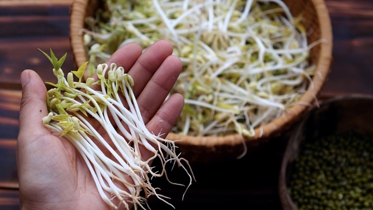 Kinh hoàng loạt hoá chất độc hại được "tẩm" cho rau củ, "đầu độc" mâm cơm Việt: Làm thế nào để tránh?- Ảnh 2. Kinh hoàng loạt hoá chất độc hại được "tẩm" cho rau củ, "đầu độc" mâm cơm Việt: Làm thế nào để tránh?- Ảnh 2.