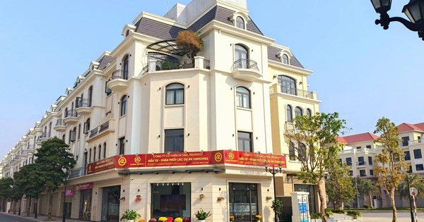 Global Property: Làn gió mới trên thị trường bất động sản- Ảnh 1.