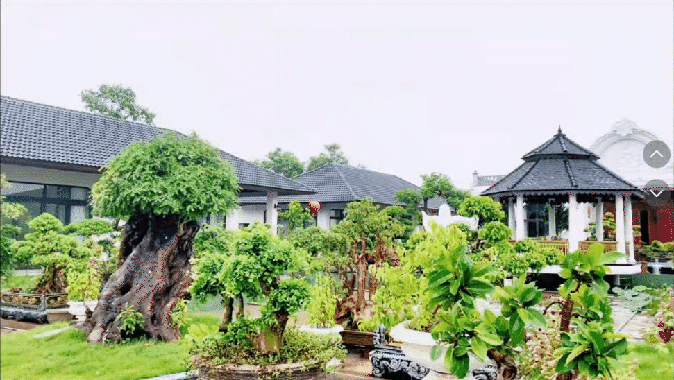 4 anh em ruột xây 4 căn villa giống hệt nhau trong khuôn viên rộng 6.000m2 ở Thanh Hóa: Resort nào đọ nổi đây?- Ảnh 14.