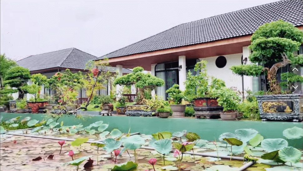 4 anh em ruột xây 4 căn villa giống hệt nhau trong khuôn viên rộng 6.000m2 ở Thanh Hóa: Resort nào đọ nổi đây?- Ảnh 6.