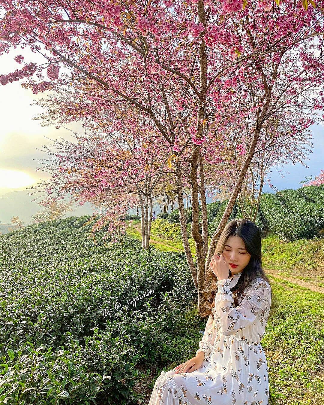 Mùa hè trốn nắng nóng rủ nhau đi chơi ở Sa Pa và đây là những địa điểm check-in kiểu gì cũng có ảnh đẹp!- Ảnh 7. Mùa hè trốn nắng nóng rủ nhau đi chơi ở Sa Pa và đây là những địa điểm check-in kiểu gì cũng có ảnh đẹp!- Ảnh 7.