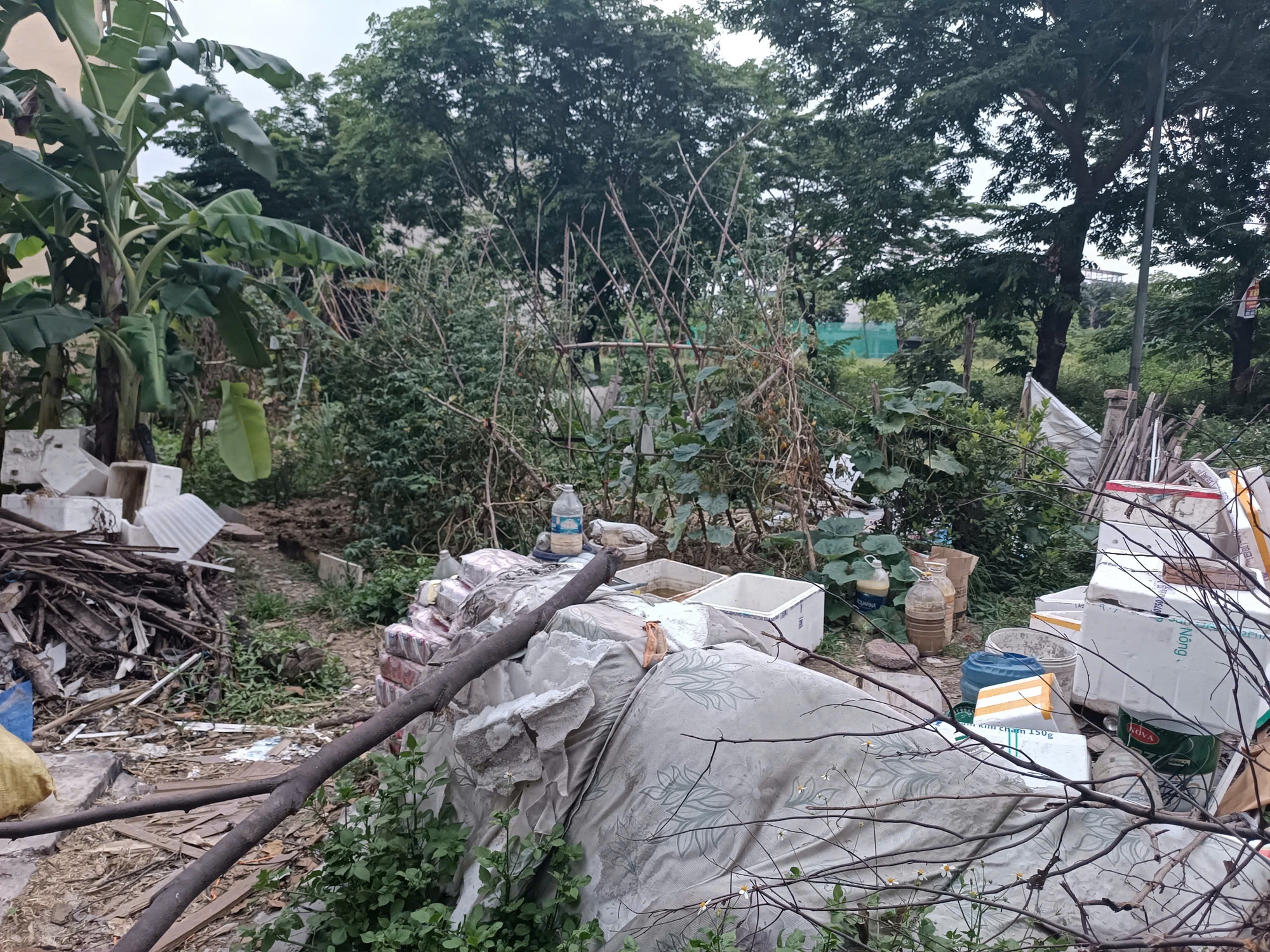 Cả chung cư phát hoảng vì thứ mùi kinh khủng, khi tìm ra nguyên nhân ai cũng phải lắc đầu ngao ngán!- Ảnh 4.