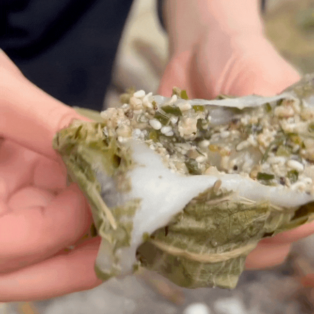 Thức quà rừng Đông Bắc mỗi năm chỉ có một mùa: Người e dè, người nghiện tới mức… dị ứng cũng không bỏ được!- Ảnh 14. Thức quà rừng Đông Bắc mỗi năm chỉ có một mùa: Người e dè, người nghiện tới mức… dị ứng cũng không bỏ được!- Ảnh 14.