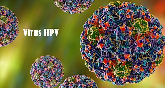 HPV - Hiểm họa trong thầm lặng: Hiểu đúng để phòng ngừa hiệu quả- Ảnh 1.