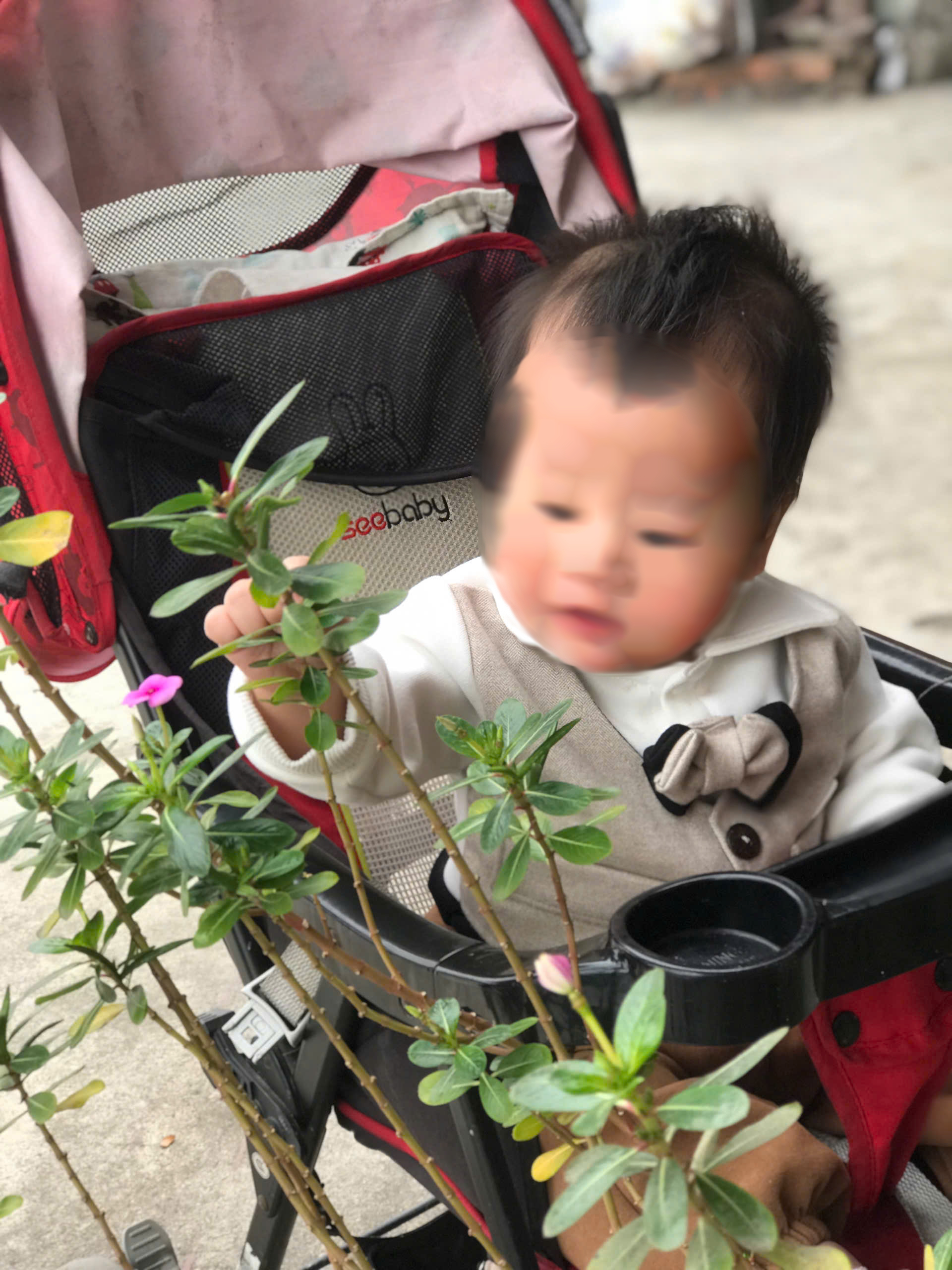 Bé Nguyễn Thắng Đại.jpg