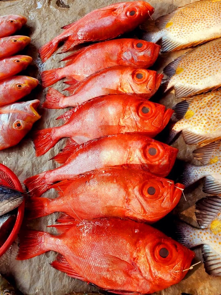 Đến Quy Nhơn mà chưa ăn 3 loại cá đặc sản này thì coi như chưa từng đến!- Ảnh 1. Đến Quy Nhơn mà chưa ăn 3 loại cá đặc sản này thì coi như chưa từng đến!- Ảnh 1.