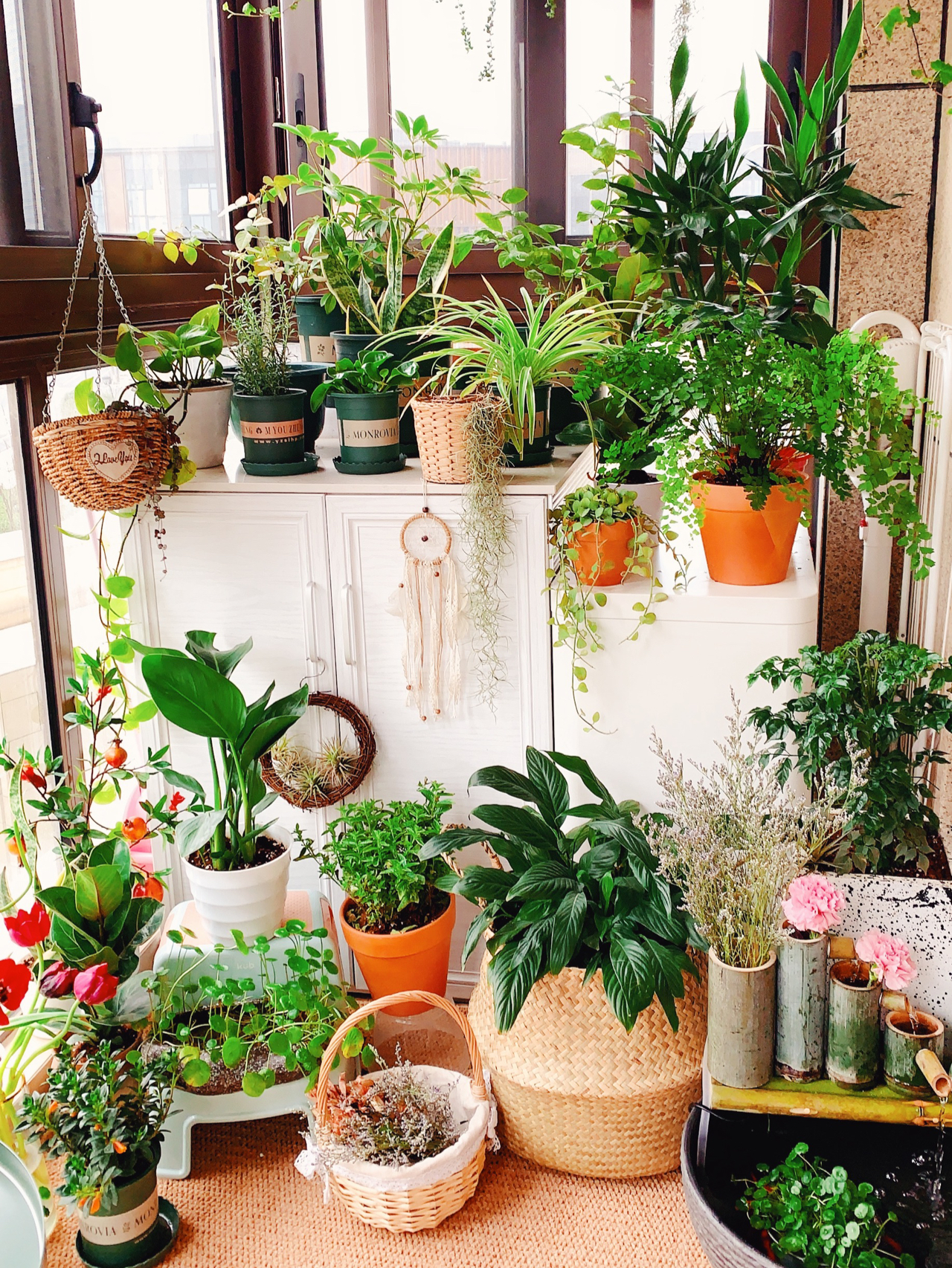 Từ ban công lụp xụp 3m² đến khu vườn xanh mát mắt: Biến hóa tuyệt vời khiến ai cũng ngỡ ngàng và ao ước- Ảnh 1.