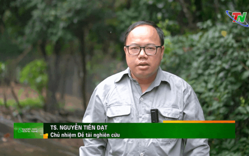 Nuôi lợn sạch bằng trà xanh, thịt ngon lành: Mô hình lạ mà độc đáo này đang gây sốt ở Việt Nam- Ảnh 6.