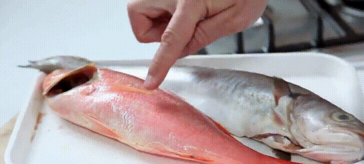 Đi chợ thấy cá có 5 dấu hiệu này thì "quay xe" ngay, rẻ cỡ nào cũng KHÔNG mua- Ảnh 4.