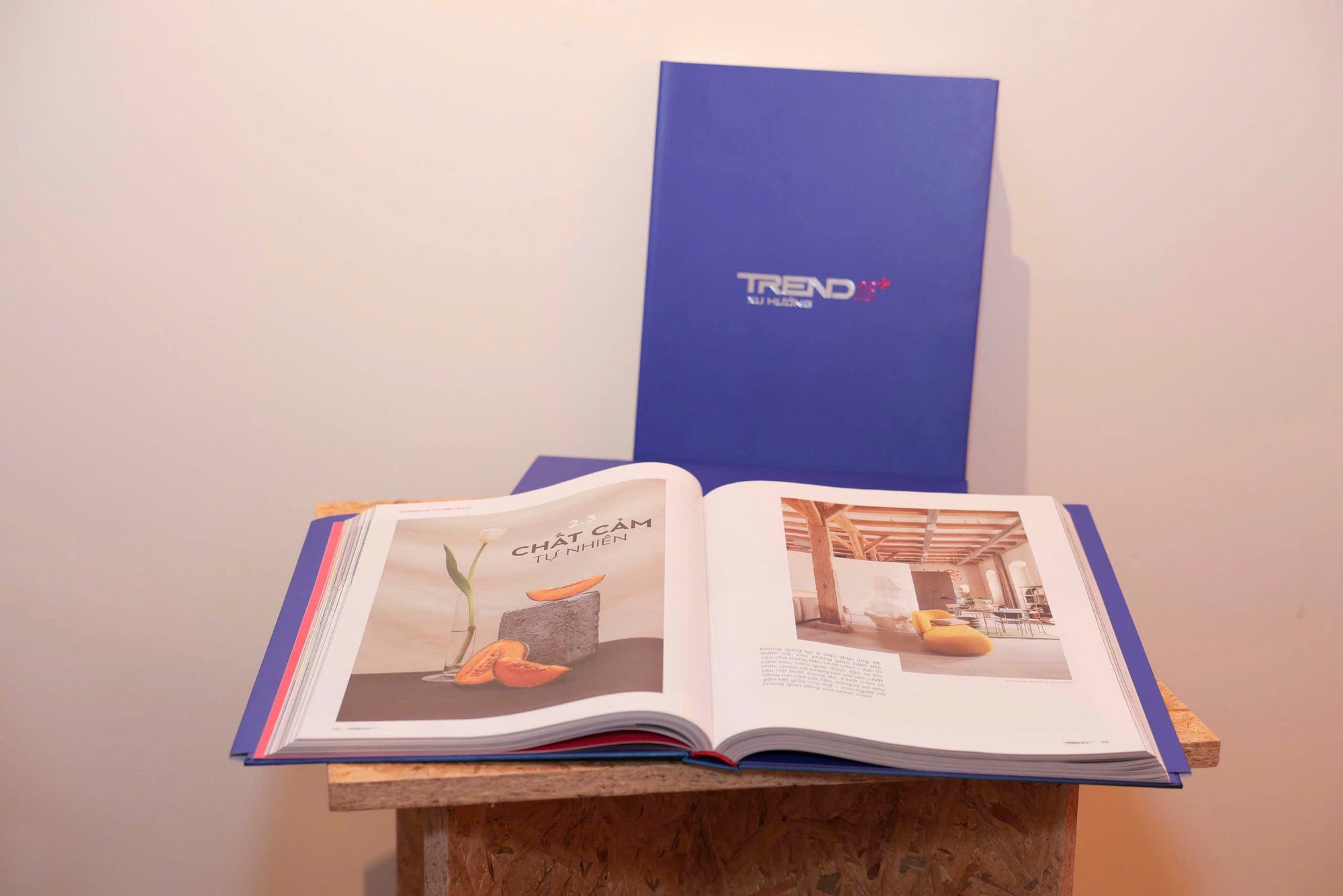 Việt Nam lần đầu tiên có ấn phẩm dự báo xu hướng nội thất: TREND 26+ "bản đồ tương lai"- Ảnh 2.