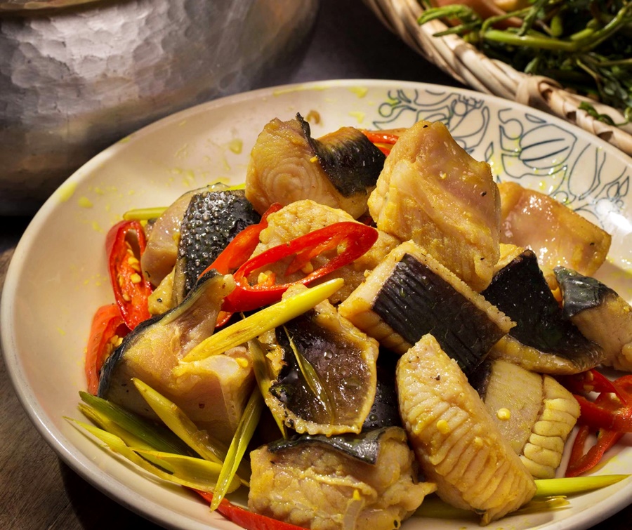 Loài cá không xương trông "xấu xấu" nhưng thịt ngon mềm, đem kho nghệ ăn với cơm nóng ngày mưa thì hết chỗ chê- Ảnh 6. Loài cá không xương trông "xấu xấu" nhưng thịt ngon mềm, đem kho nghệ ăn với cơm nóng ngày mưa thì hết chỗ chê- Ảnh 6.