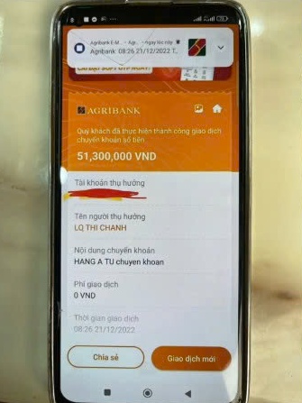 Sùng Bầu bị cộng đồng mạng 