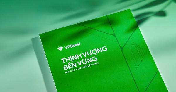VPBank lần đầu công bố Báo cáo Phát triển Bền vững- Ảnh 1.