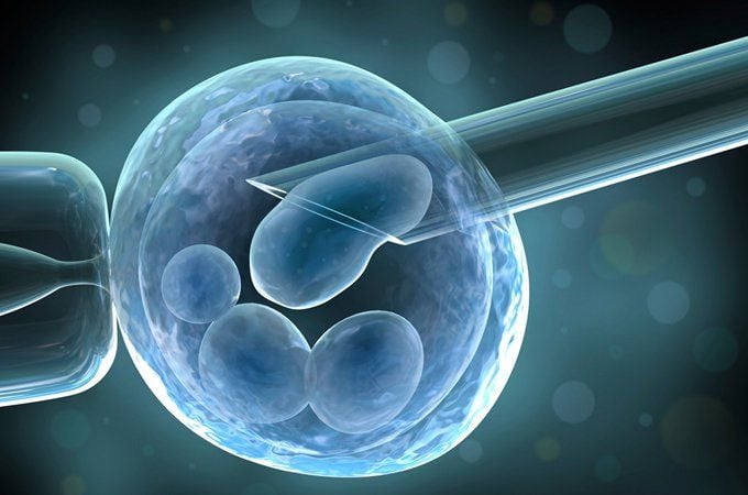 IVF Hồng Ngọc làm chủ phương pháp giúp gia đình sinh con khỏe mạnh- Ảnh 2.