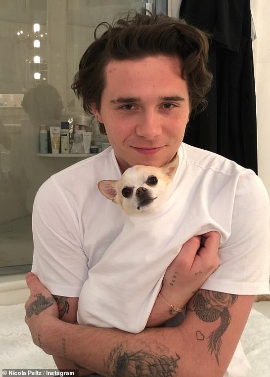 Căng rồi: Con dâu cả nhà Beckham phải hầu toà giữa lúc mâu thuẫn với gia đình chồng đang ở đỉnh điểm- Ảnh 5.