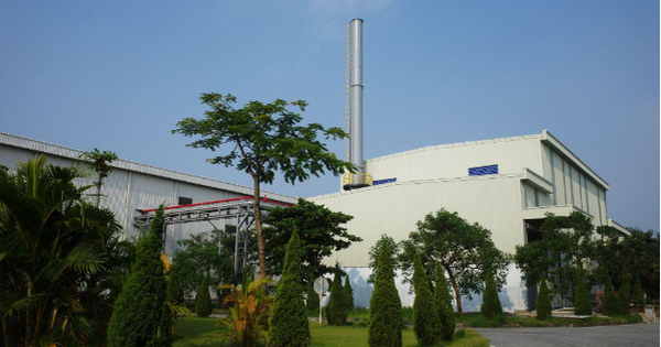 Kim Trường Phúc tiên phong chuyển đổi năng lượng xanh bền vững trong vận hành lò hơi- Ảnh 1. Kim Trường Phúc tiên phong chuyển đổi năng lượng xanh bền vững trong vận hành lò hơi- Ảnh 1.