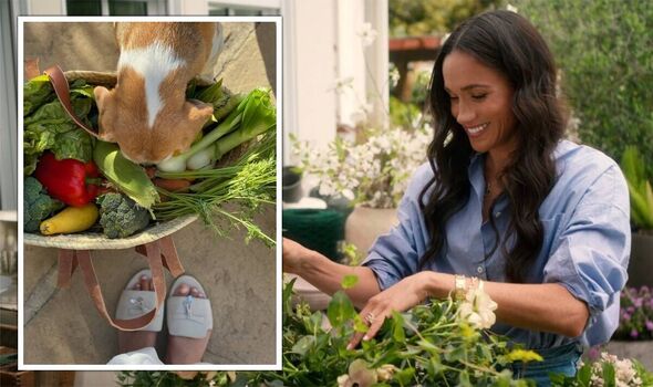 Meghan khoe giỏ rau củ tươi ngon mới thu hoạch từ vườn nhà, fan tinh mắt nhận ra ngay điều bất thường- Ảnh 2.