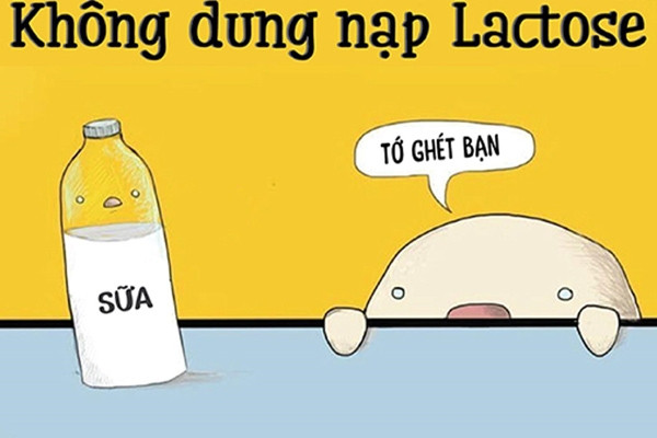 Sữa hạt có tốt hơn sữa bò và có nên thay thế hoàn toàn sữa bò bằng sữa hạt?- Ảnh 2.