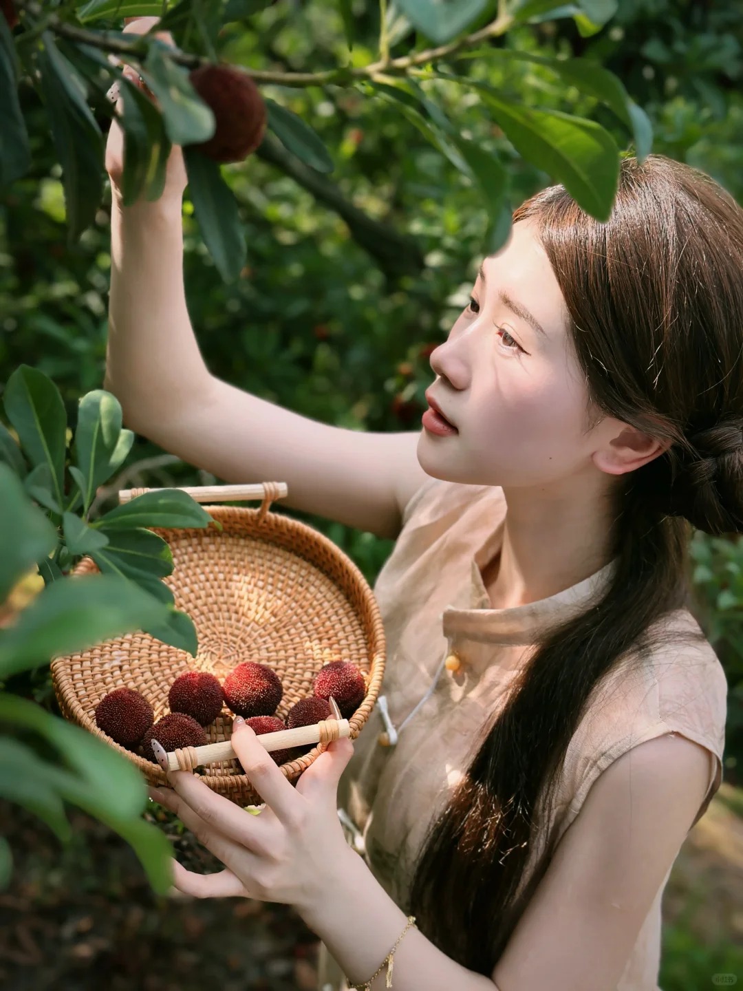 Mùa thanh mai chín rộ: Thứ quả chua ngọt đẹp như mơ, ăn ngon lại tốt cho sức khỏe- Ảnh 6.