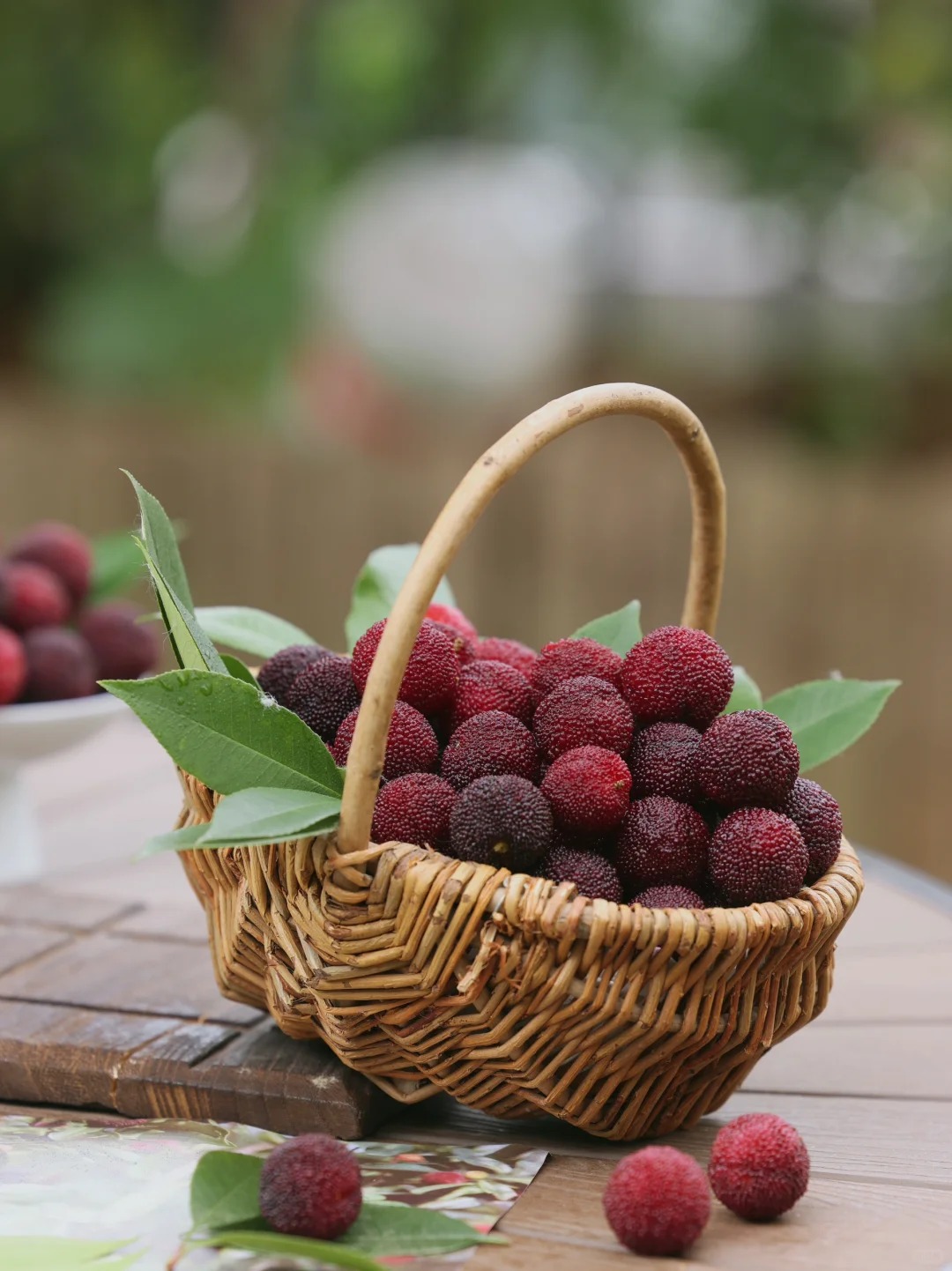 Mùa thanh mai chín rộ: Thứ quả chua ngọt đẹp như mơ, ăn ngon lại tốt cho sức khỏe- Ảnh 9.