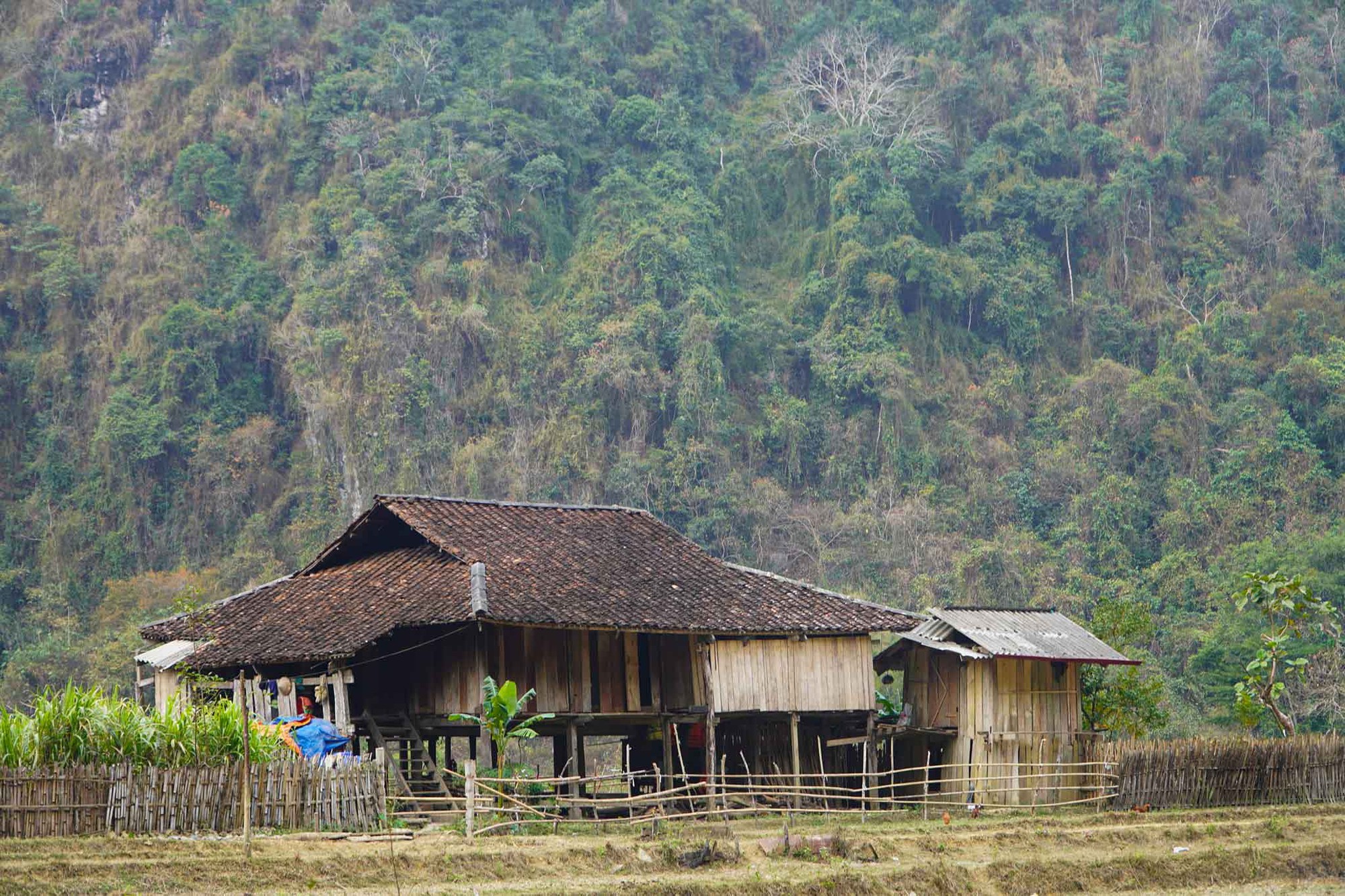 Độc lạ ngôi làng 