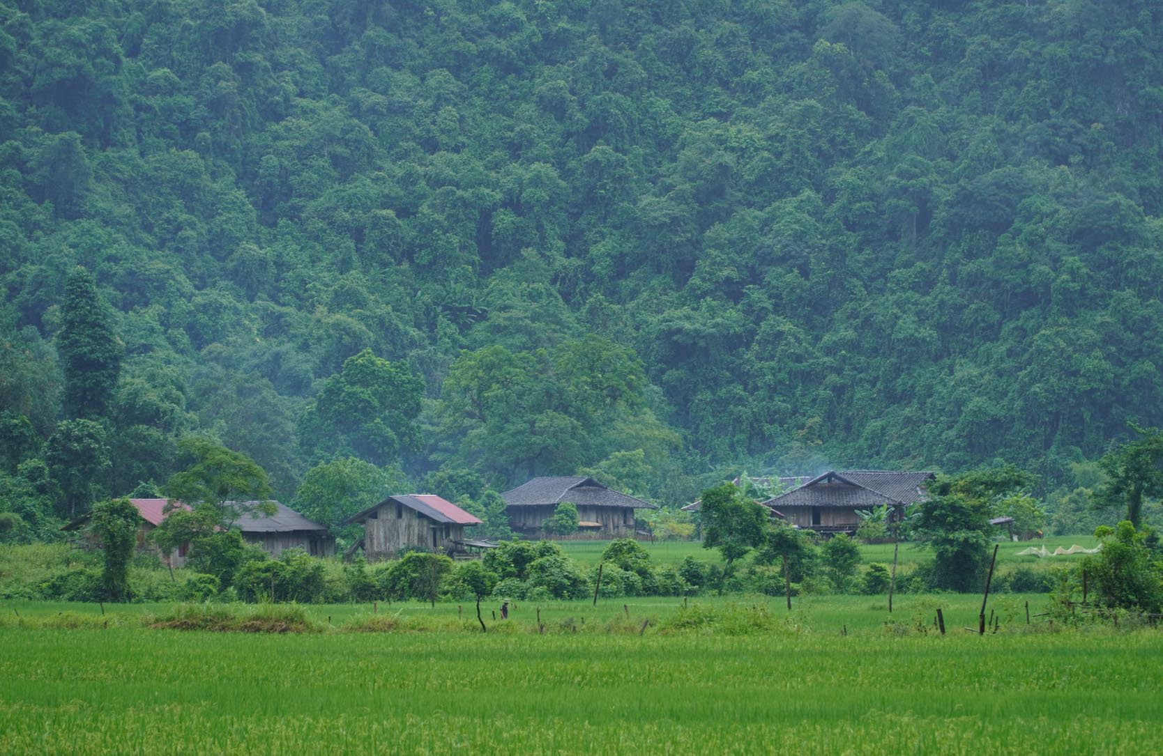 Độc lạ ngôi làng 