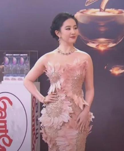 Lưu Diệc Phi từng gầy đến mức này sao?- Ảnh 12.