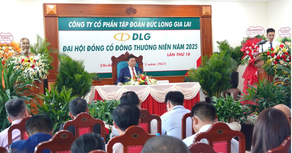 DLG tiếp tục tái cấu trúc toàn diện, đẩy mạnh đầu tư để bứt phá- Ảnh 1.