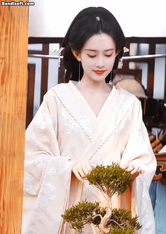 Quận chúa Trung Quốc đẹp nhất trước giờ: Visual quốc sắc thiên hương, hội chị em ngắm xong cũng muốn bẻ cong giới tính- Ảnh 6.