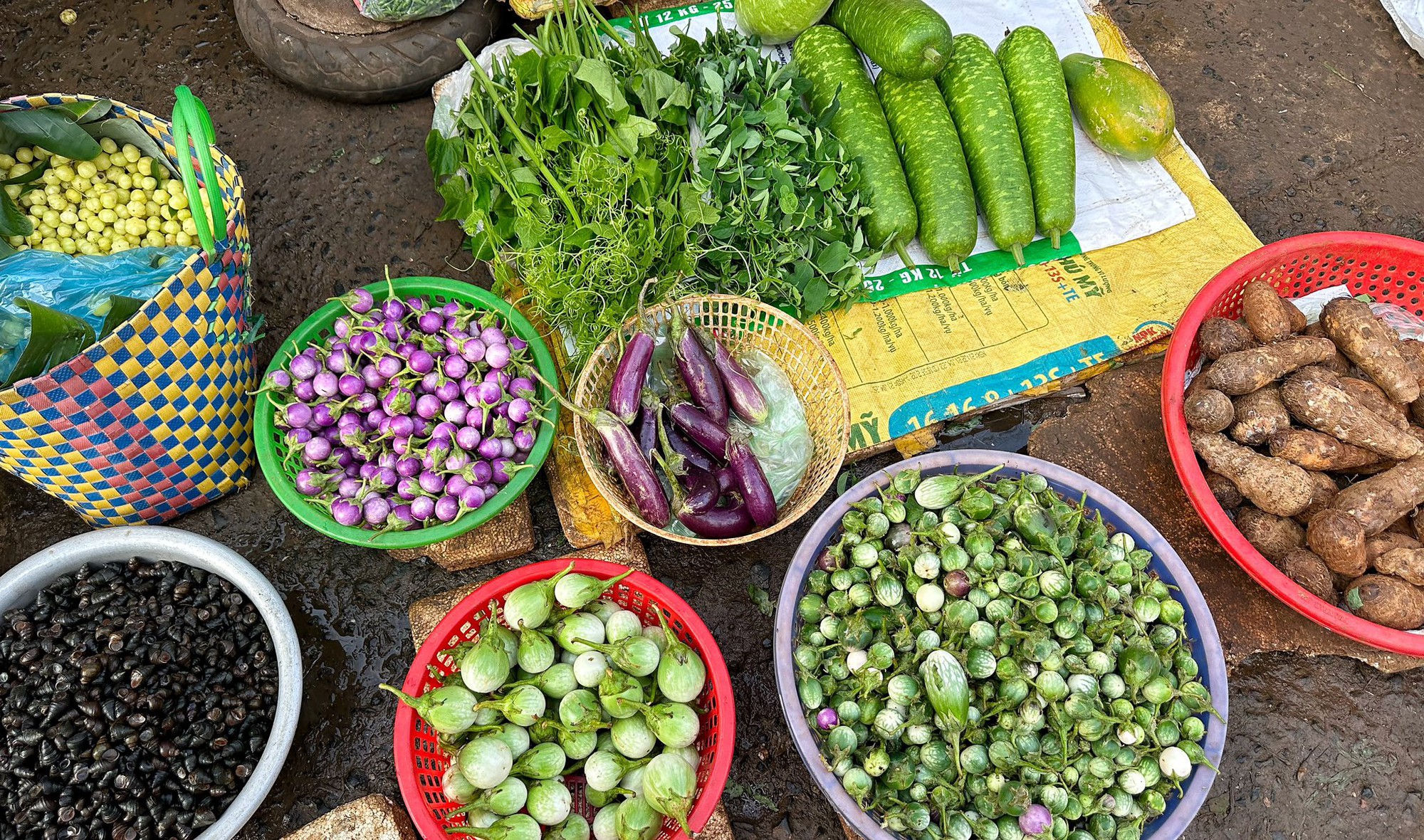 Bộ ảnh 2 em bé Đắk Lắk khiến bao người mơ ước, trước cuộc sống an yên là quyết định "liều lĩnh" của ba mẹ- Ảnh 5.