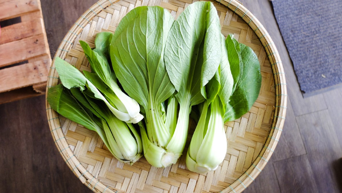 Loại rau từng chỉ dành cho người nghèo nay đã thành "nhân sâm" trên mâm cơm, cực tốt cho da nhưng ít ai biết- Ảnh 1.