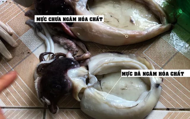 5 loại hải sản dễ "tắm" hóa chất tẩy trắng, đi chợ mà ngố là "dính chưởng" ngay!- Ảnh 2. 5 loại hải sản dễ "tắm" hóa chất tẩy trắng, đi chợ mà ngố là "dính chưởng" ngay!- Ảnh 2.